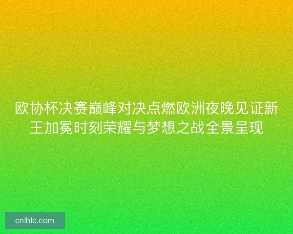 欧协杯决赛巅峰对决点燃欧洲夜晚见证新王加冕时刻荣耀与梦想之战全景呈现