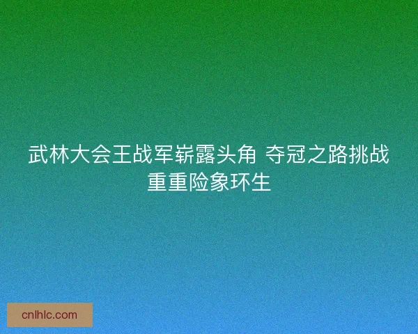 武林大会王战军崭露头角 夺冠之路挑战重重险象环生