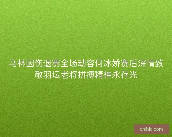 马林因伤退赛全场动容何冰娇赛后深情致敬羽坛老将拼搏精神永存光