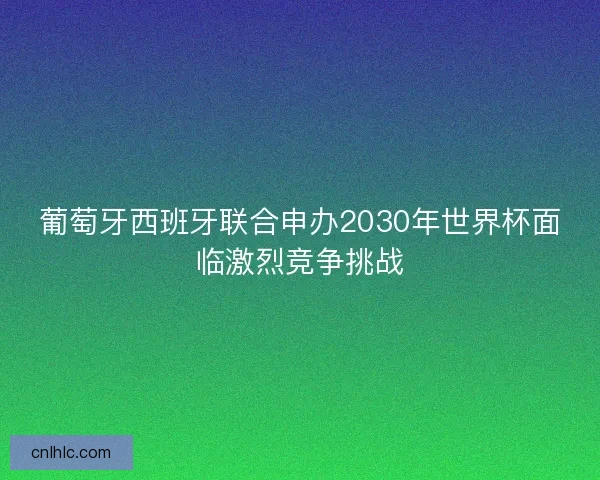 葡萄牙西班牙联合申办2030年世界杯面临激烈竞争挑战